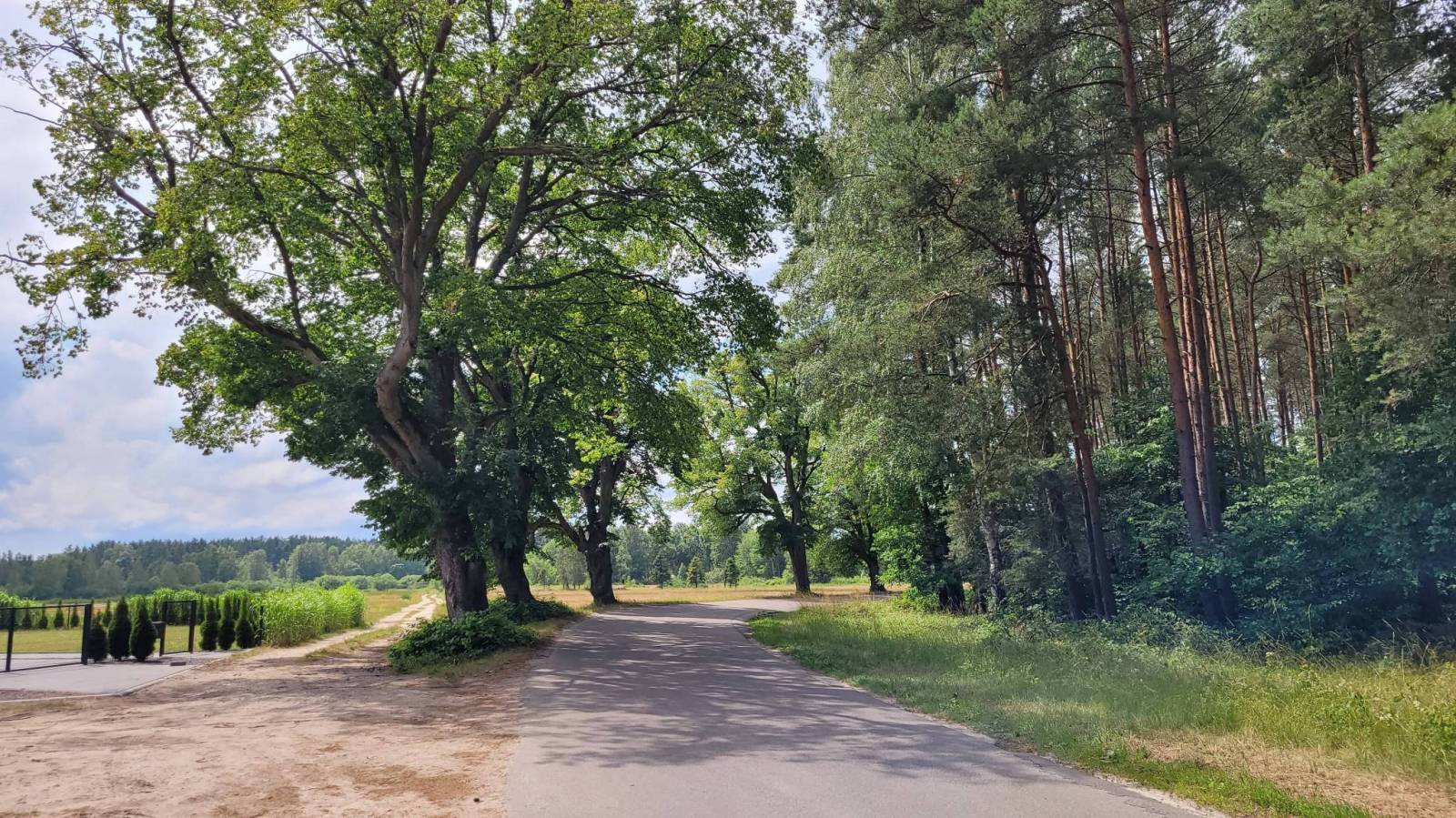 Zdjęcie 2