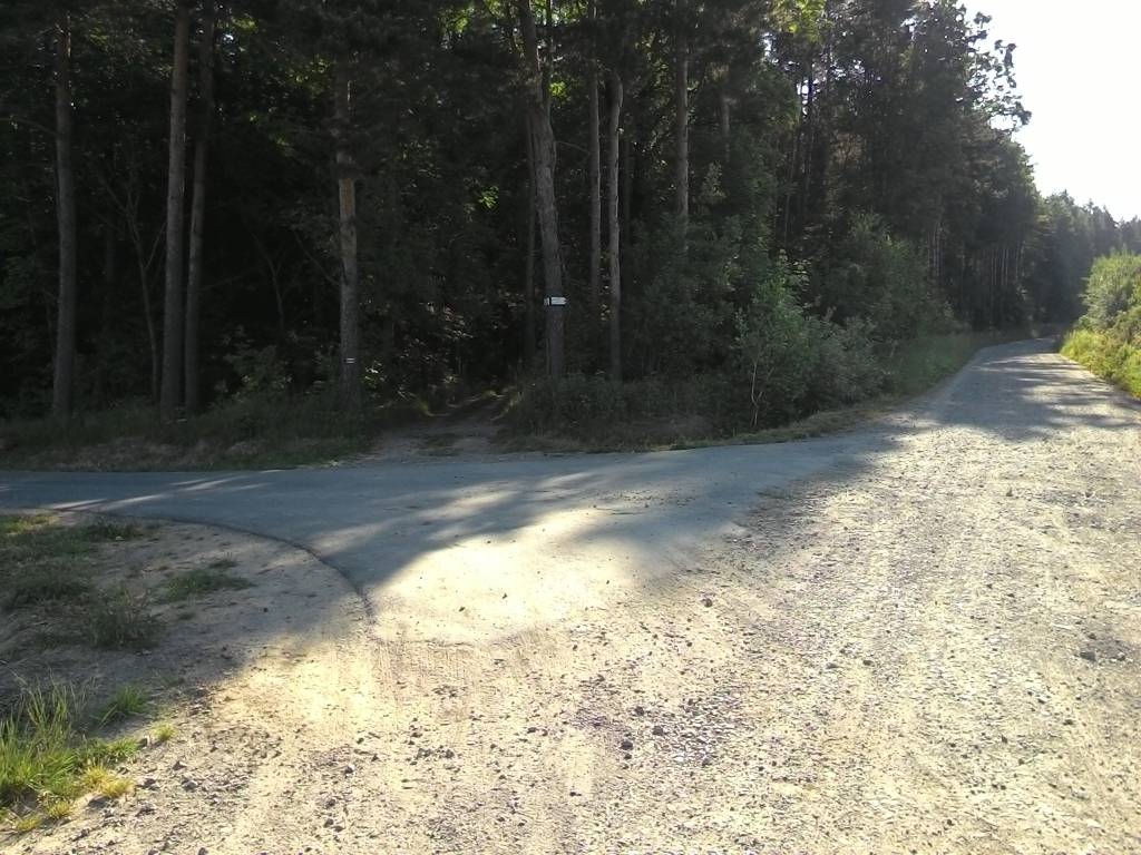 Zdjęcie 6