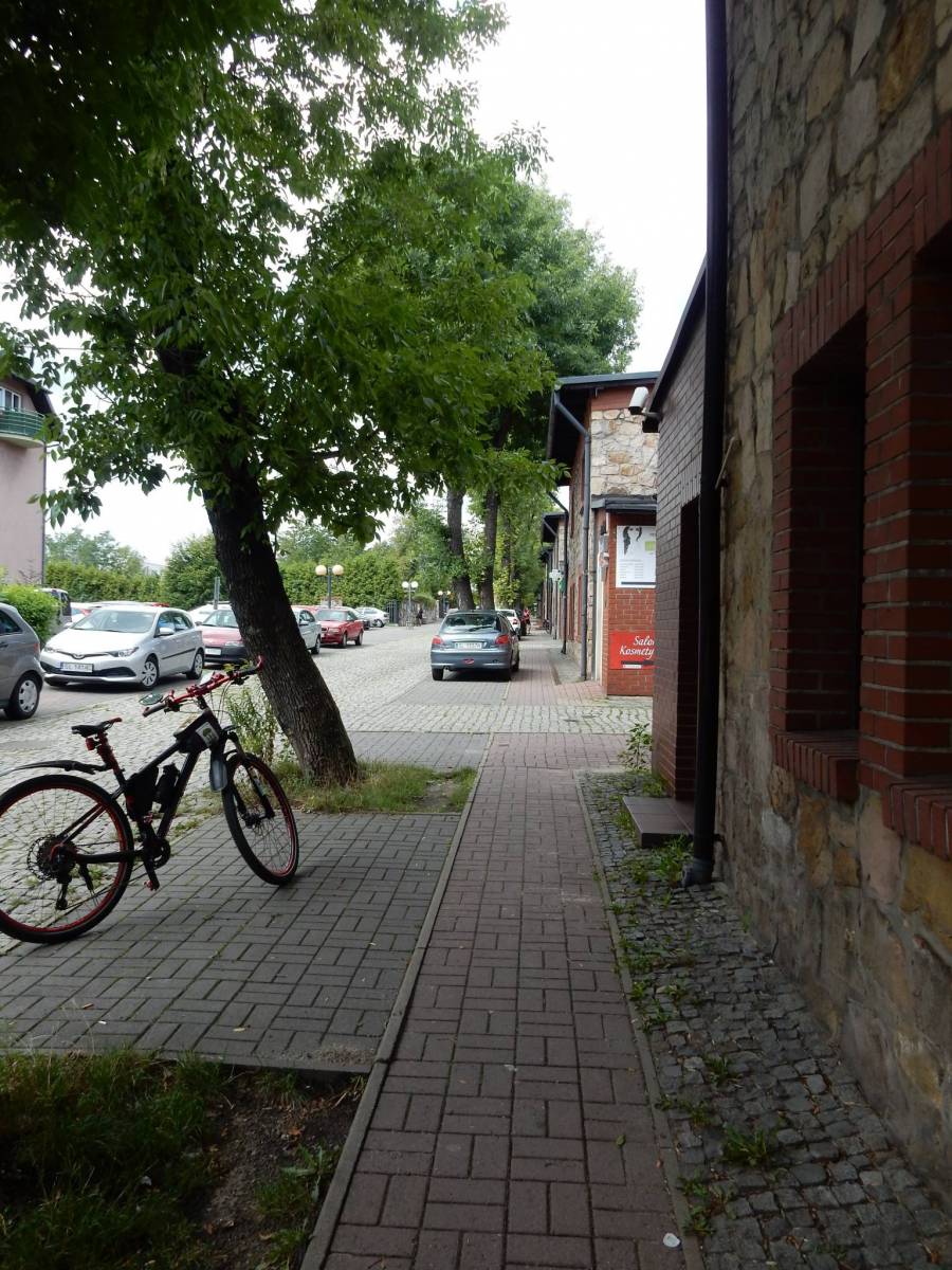 Zdjęcie 6