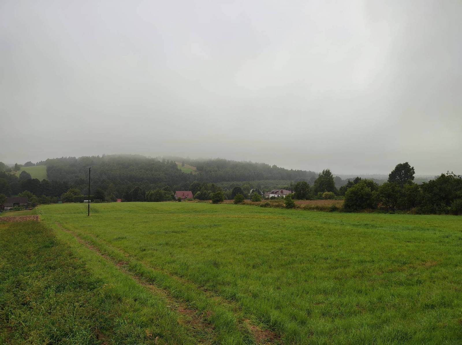Zdjęcie 2