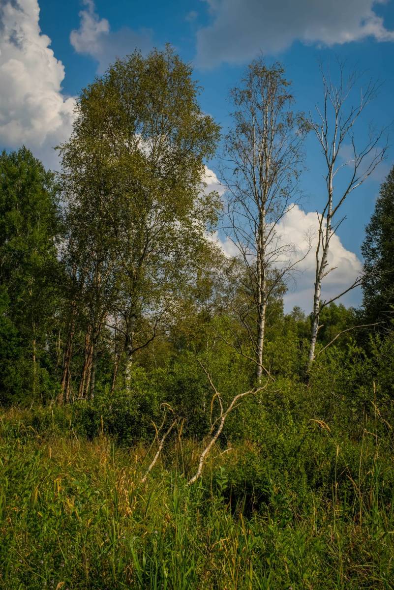 Zdjęcie 2