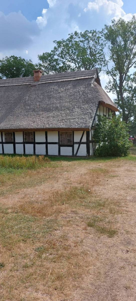 Zdjęcie 6