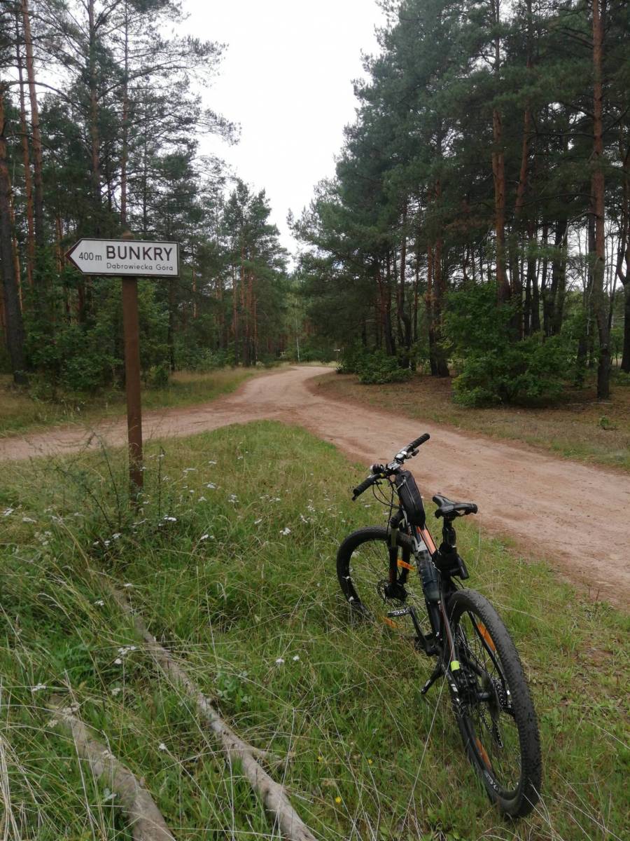 Zdjęcie 6