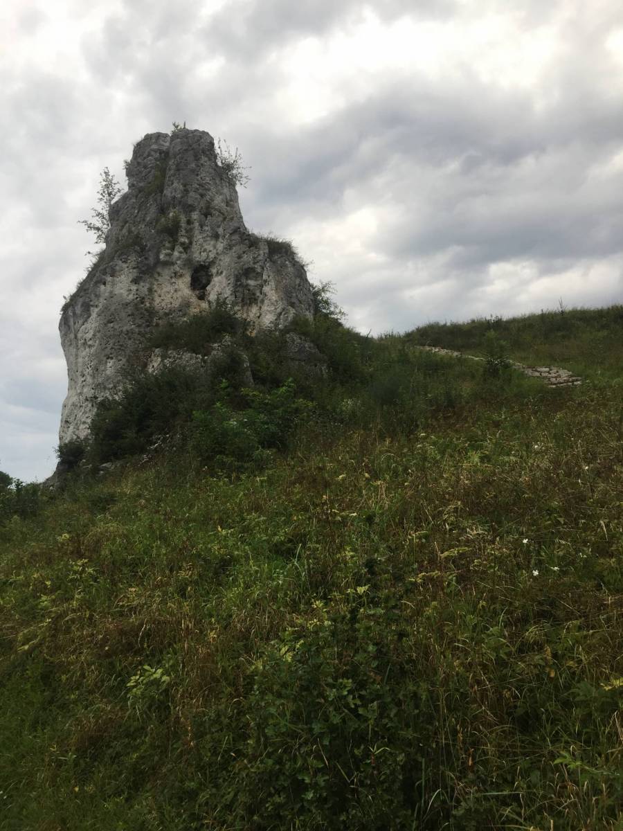 Zdjęcie 2