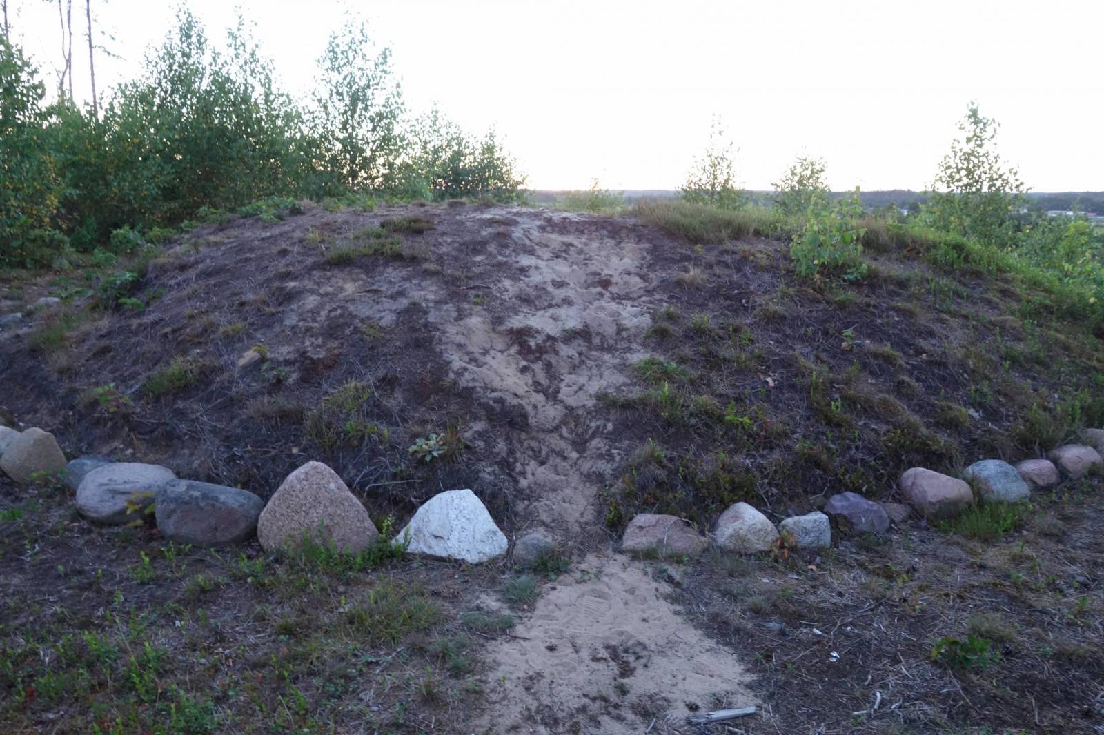 Zdjęcie 5