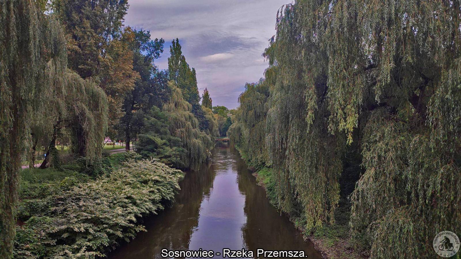 Zdjęcie 2