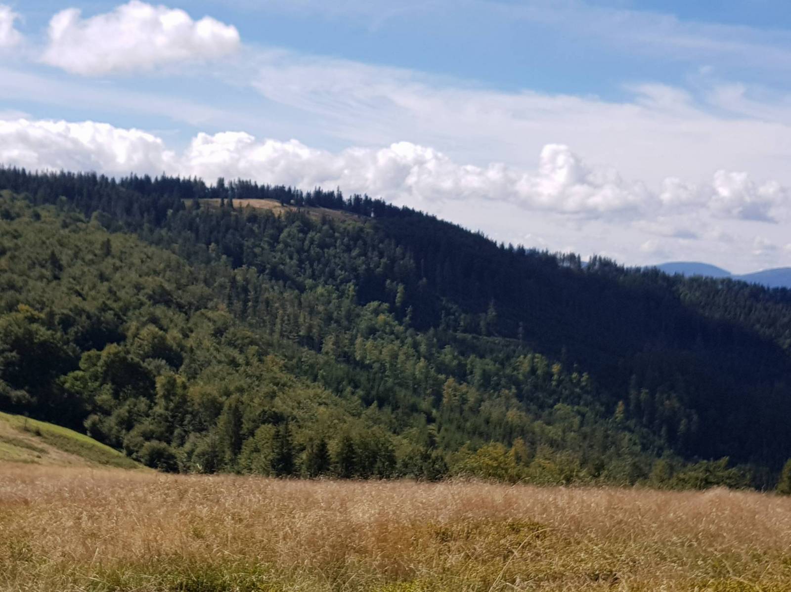 Zdjęcie 6