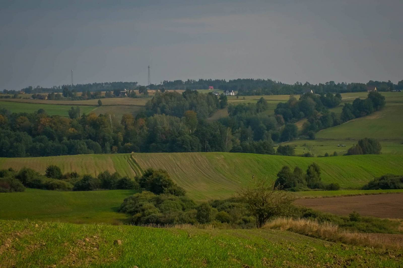 Zdjęcie 3
