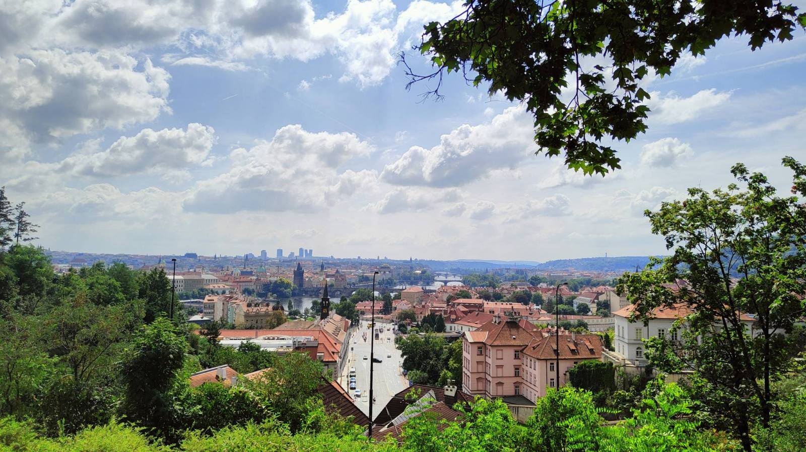 Zdjęcie 5