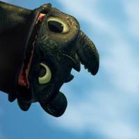 scarredandtoothless