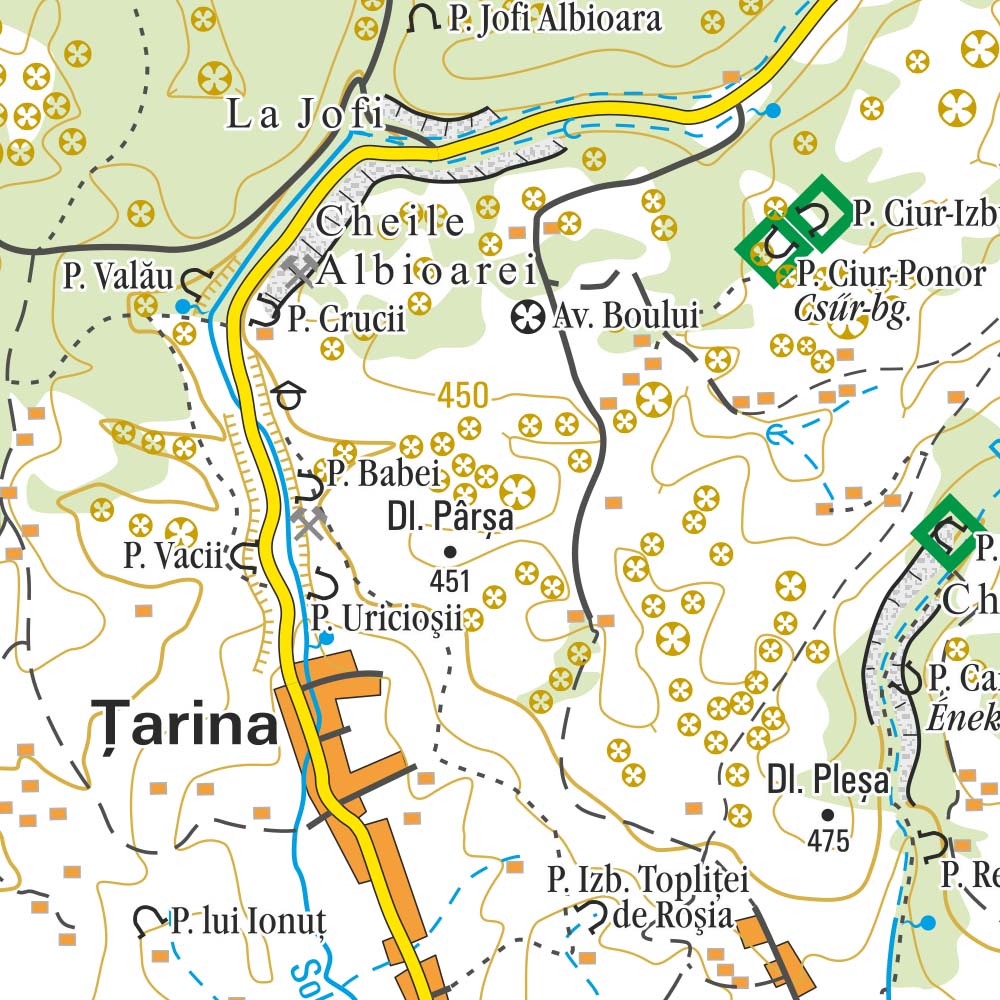 Pădurea Craiului Mountains