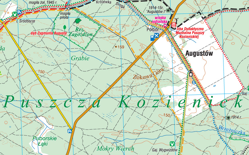 Puszcza Kozienicka