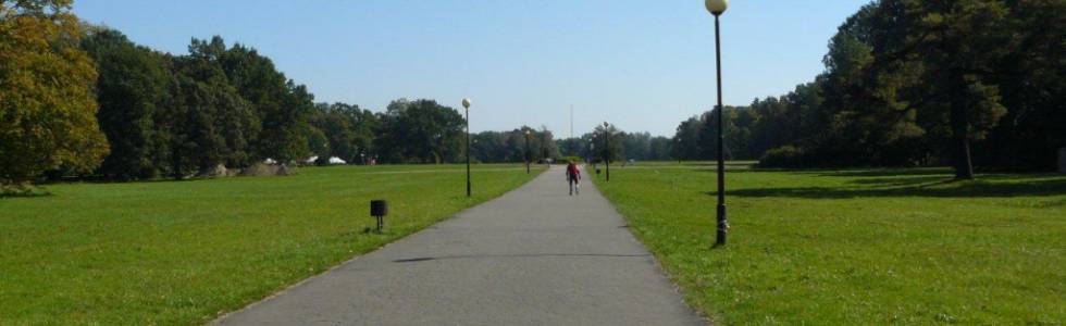 Jogging w Parku Świerklanieckim