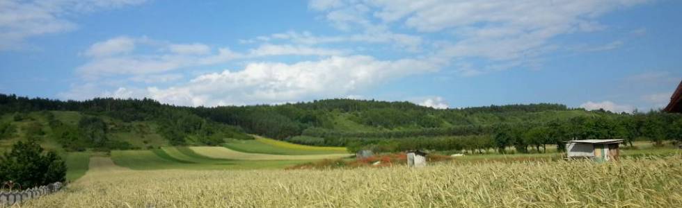 Jędrzejów- ścieżka wzdłuż kolejki- Pińczów- Jakubów- Jędrzejów