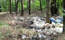 Leśne wysypisko śmieci w rejonie Starej Huty