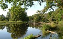 Żerkowsko-Czeszewski Park Krajobrazowy