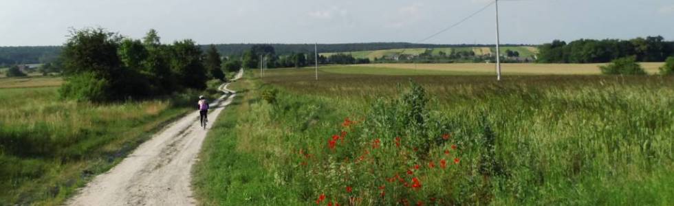 Tomaszów Lubelski Podhucie Tarnawatka Pańków