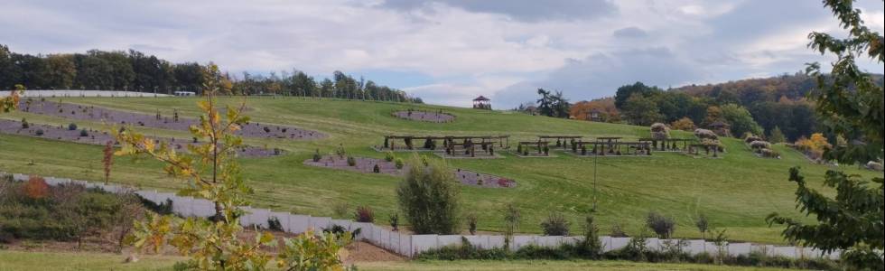 Do Wojsławic- Arboretum