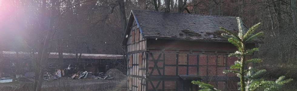 Percią Wilka do Doliny Bobrów - wędrówka w Beskidzie Oliwskim