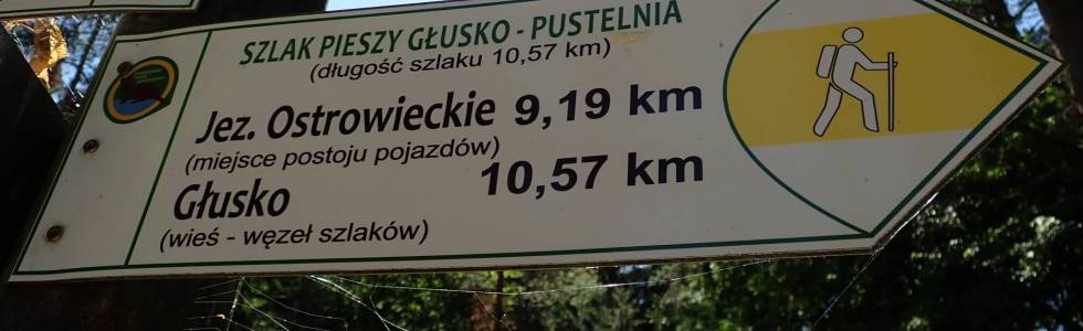 Szlak Głusko - Pustelnia - Pieszy Żółty ver. 2022