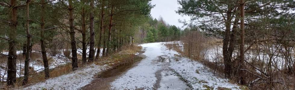 Trasa 3,6km na Starorzecze - krótka przez las CampKAJAKOWO Zakrzówek Szlachecki