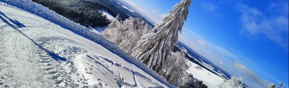 Zimowa Wielka Sowa 1015 mnpm z Rzeczki