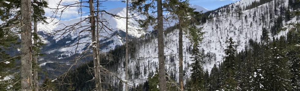 TATRY - DOLINA KOŚCIELISKA - CHOCHOŁOWSKA