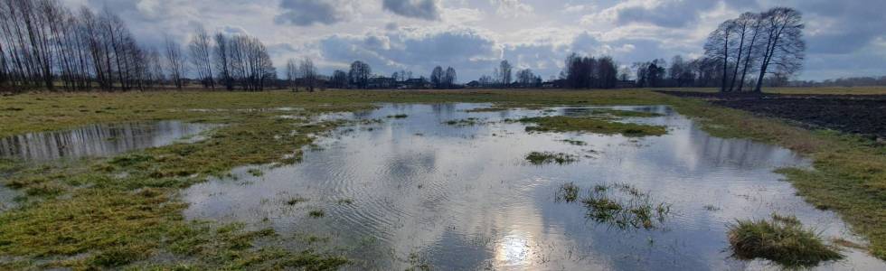 Pola-Czyżeminek-Guzew