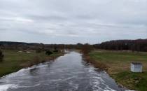 Narew