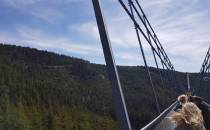 Ski Bridge