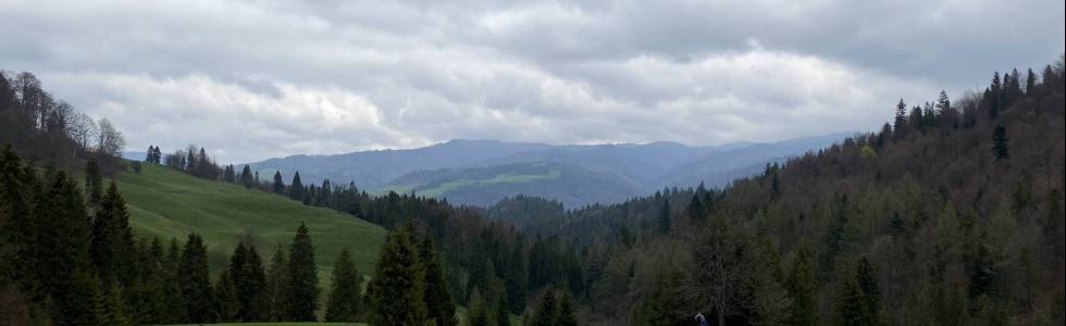 Jaworki - Wysoka - Sokolec - Trzy Korony (2 szczyty do diademu Pl gór)