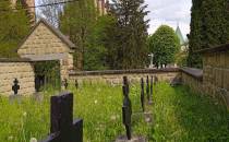 Cmentarz Wojenny nr 106 - Biecz