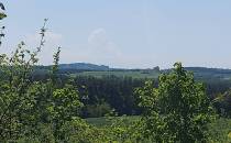 Widok w stronę zamku Ogrodzieniec
