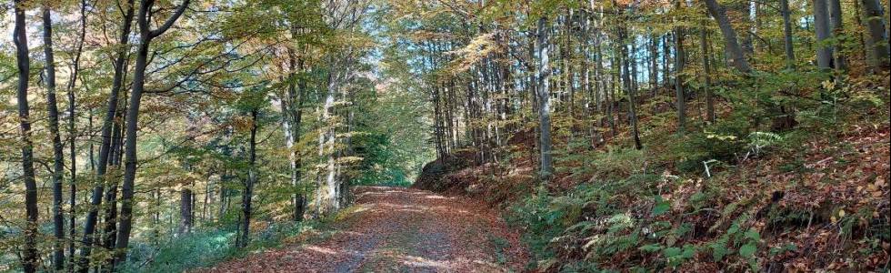 Bieszczady : Doliny Sanu i Caryńskiego