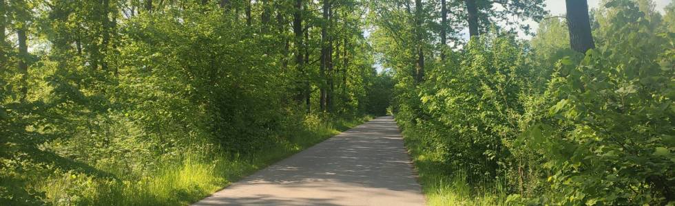 Lasy nad Górną Liswartą-Częstochowa