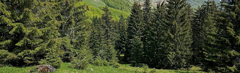 Wielka Fatra: Rakytov, Borišov, Ploska.