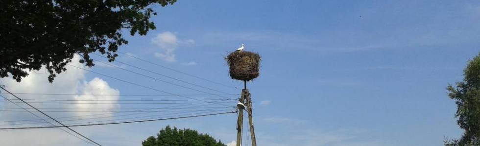 Upalne Pawełki ;-) 2014/7/26