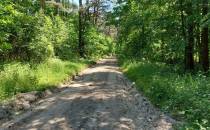 Droga do Osieczka przez las