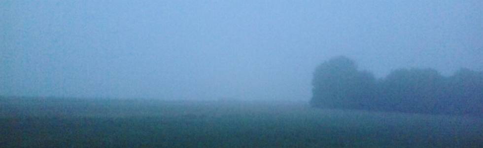 poranna mgła 2014/7/5 5:47