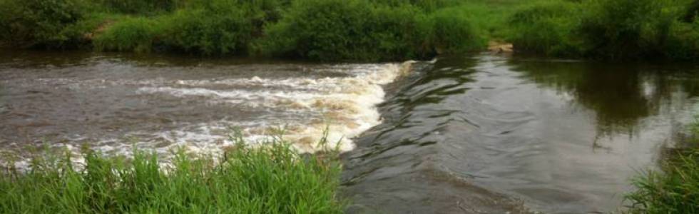 Spływ kajakowy Danków - Wąsosz Górny