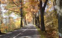 jesienna droga w kierunku Złotego Stoku