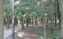 Park Tadeusza Rejtana