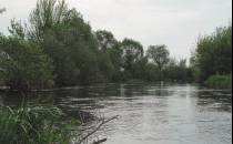 Rzeka Nida po prawej