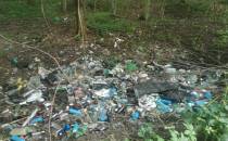 śmieci w lesie - zgłoszone do GIOŚ