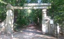 Aboretrum Bramy Morawskiej.