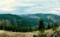 Lesista Mała 782m widok na Góry Suche