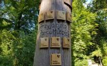 Drzewo Przyjaciół Parku Miłości w Lubniewicach
