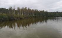 jezioro Obradowskie