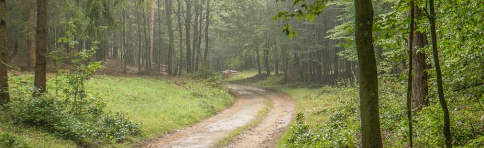 Trójmiejski Park Krajobrazowy.