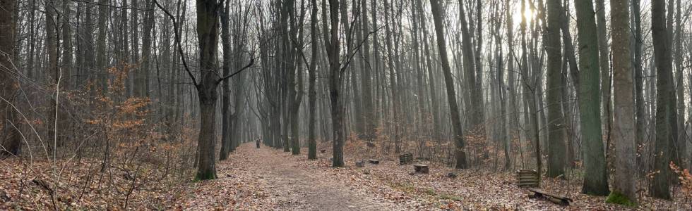 Trasa - Wzniesienia chełmskie 01.01.2024 r. - marsz noworoczny.